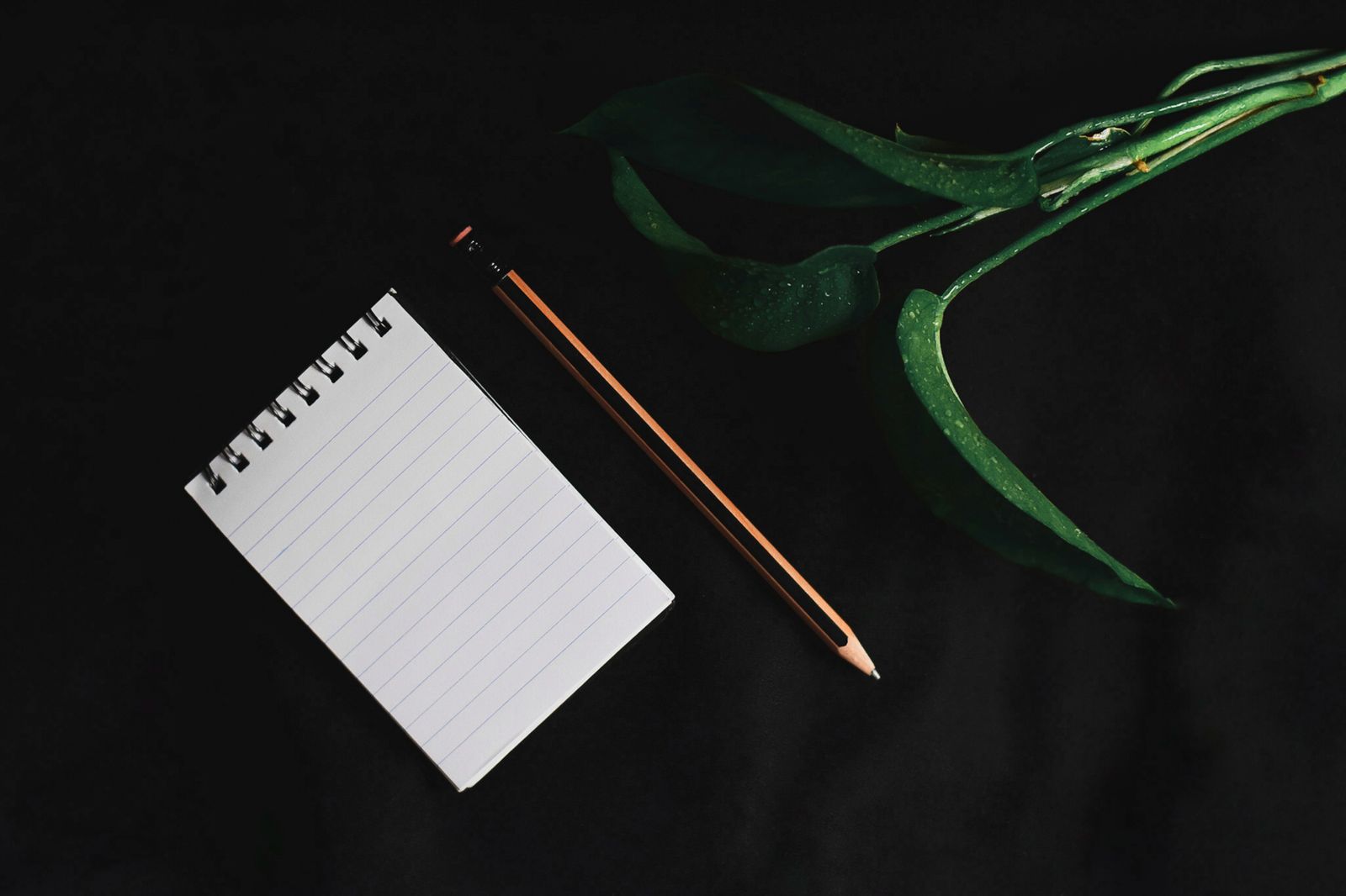 Illustrative image: notebook and pencil for self-awareness activities.
